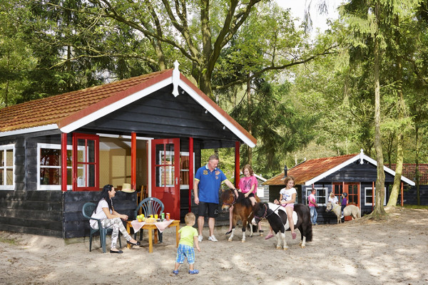 Ferienhaus Arizona im Ferienpark Collendoorn